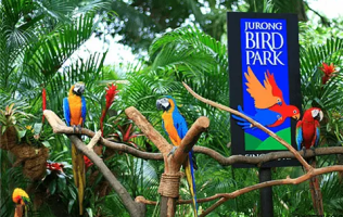  Bali Bird Park